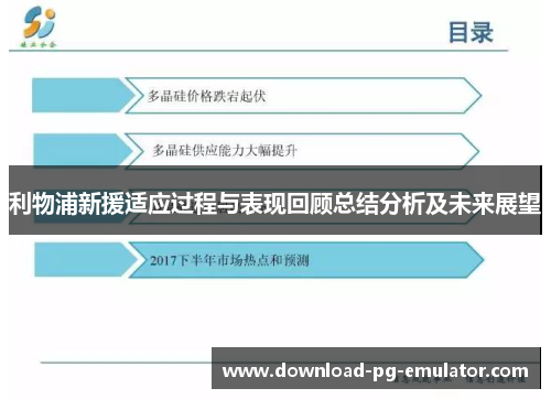 利物浦新援适应过程与表现回顾总结分析及未来展望