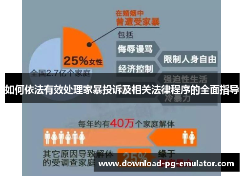 如何依法有效处理家暴投诉及相关法律程序的全面指导