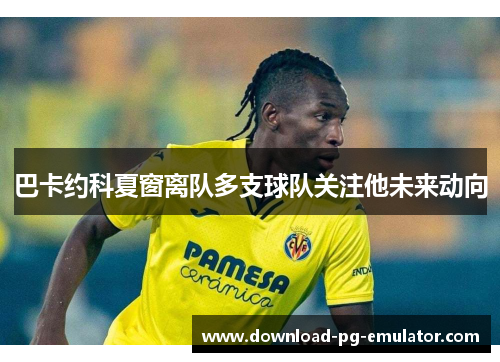 巴卡约科夏窗离队多支球队关注他未来动向