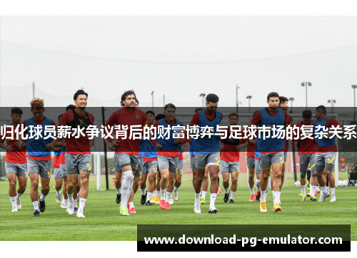 归化球员薪水争议背后的财富博弈与足球市场的复杂关系