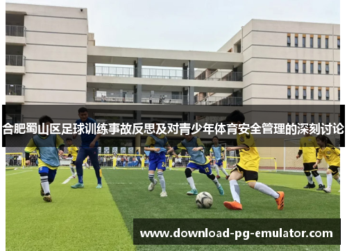 合肥蜀山区足球训练事故反思及对青少年体育安全管理的深刻讨论