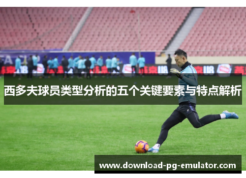 西多夫球员类型分析的五个关键要素与特点解析