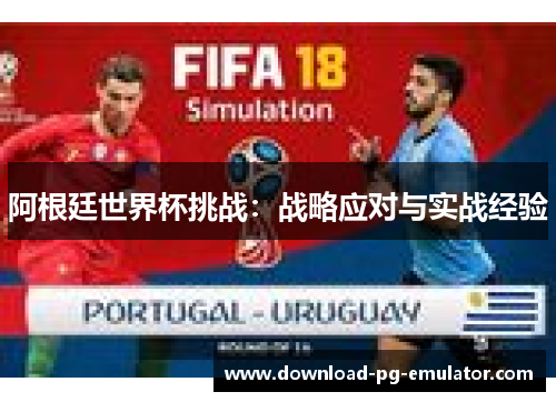 阿根廷世界杯挑战：战略应对与实战经验