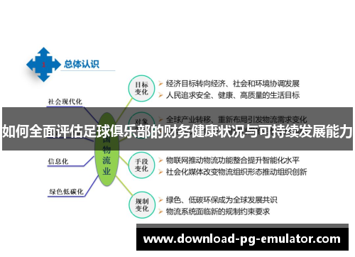 如何全面评估足球俱乐部的财务健康状况与可持续发展能力