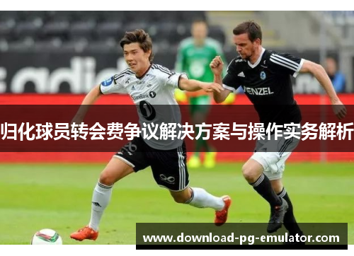 归化球员转会费争议解决方案与操作实务解析